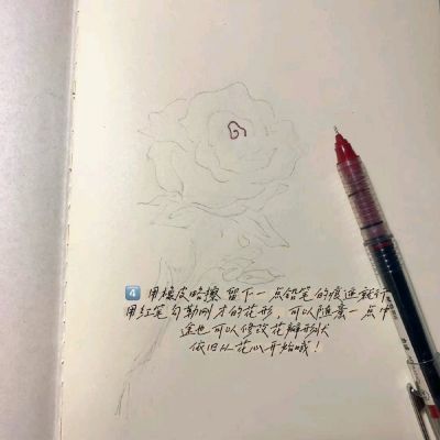 手绘玫瑰花教程 图源：Tianpupu ? ???