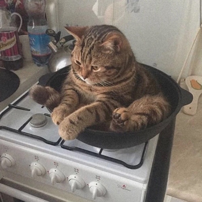 ͷͷ