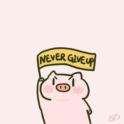 Never give up