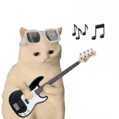 Rocker cat group