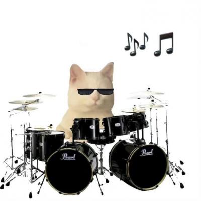 Rocker cat group