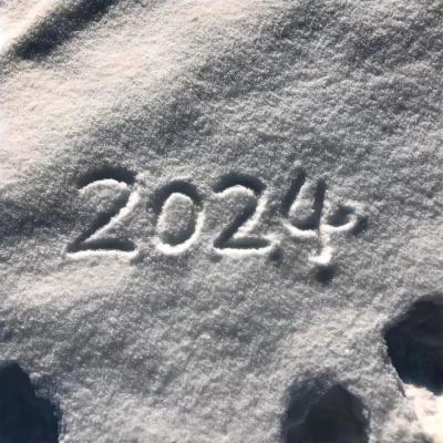 2024 µ 羰ͷ